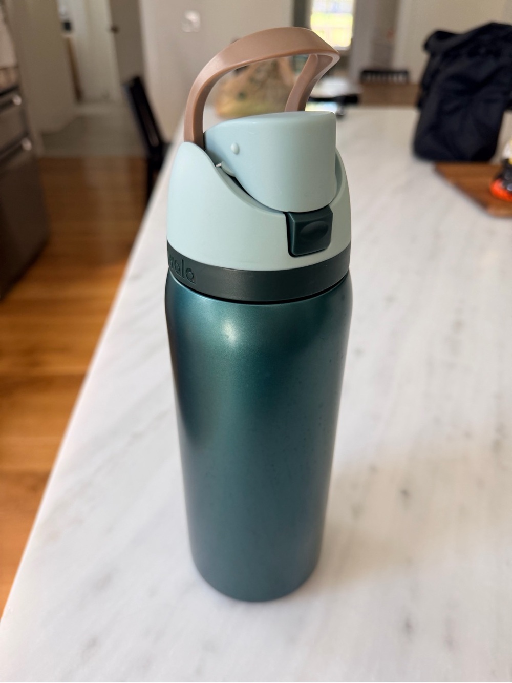 Owala FreeSip Waterbottle in Limited Edition Color - Wintergreen
